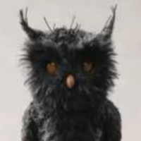 Owl typ osobowości MBTI image