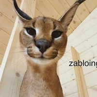 Zabloing (Floppaverse) MBTI Personality Type image