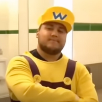 profile_Wario