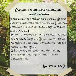 profile_Дед с тараканами