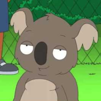 profile_Reginald the Koala