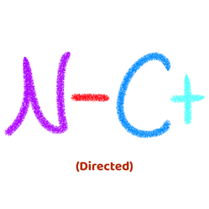 profile_N-C+ (Directed)