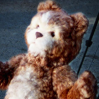 Teddy тип личности MBTI image