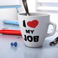 Be Satisfied With Their Job typ osobowości MBTI image