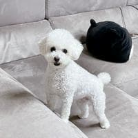 profile_Gaeul (ENHYPEN)