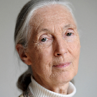 Jane Goodall MBTI -Persönlichkeitstyp image