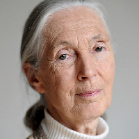 Jane Goodall tipo de personalidade mbti image