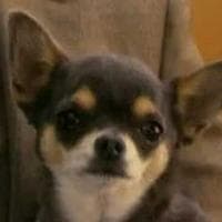 profile_Betty