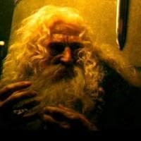 profile_Merlin