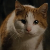 profile_Sergeant Tibbs