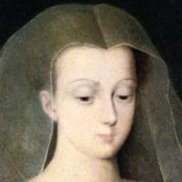 profile_Agnès Sorel