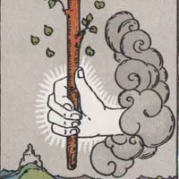 profile_Ace of Wands