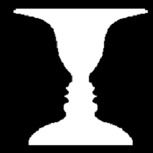 profile_Ambiguity