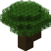 Dark Oak Tree (plant) MBTI -Persönlichkeitstyp image