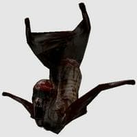 profile_Spitter