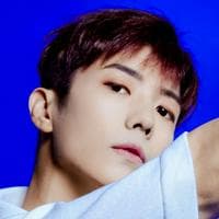 Jang Wooyoung (2PM) тип личности MBTI image