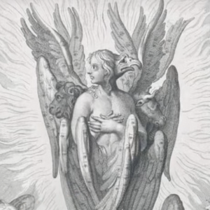 profile_Cherub