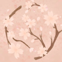 Cherry Blossom tipo de personalidade mbti image