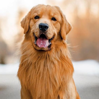 profile_Tucker Budzyn