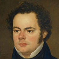 Franz Schubert тип личности MBTI image