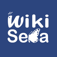 WikiSeba mbti kişilik türü image