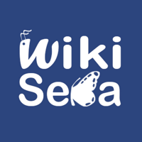 WikiSeba mbtiパーソナリティタイプ image