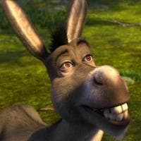Donkey тип личности MBTI image