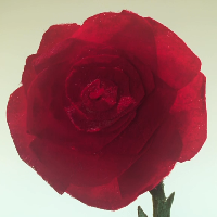 The Rose نوع شخصية MBTI image