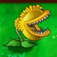 profile_Sun Chomper