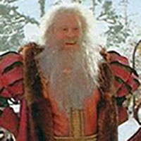 Father Christmas mbti kişilik türü image