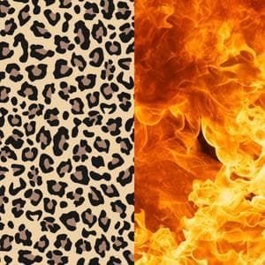 profile_Ginger Scary