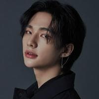 Hwang Hyunjin (Stray Kids) MBTI Personality Type image