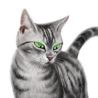 Willowshine тип личности MBTI image