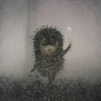 Hedgehog tipe kepribadian MBTI image