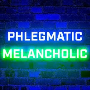 profile_Phlegmatic-Melancholic (PhlegMel)