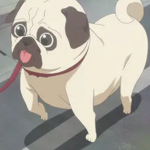 profile_Dog