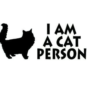 Be a Cat Person tipo de personalidade mbti image