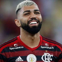 Gabriel Barbosa "Gabigol" mbti kişilik türü image