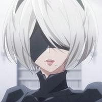 profile_2B