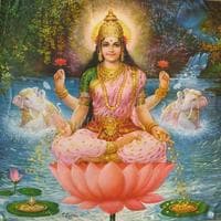 Lakshmi тип личности MBTI image