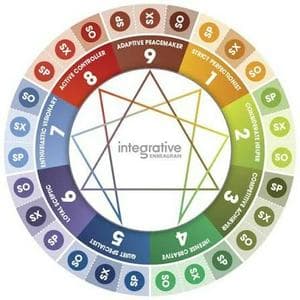 profile_27 Enneagram Subtypes