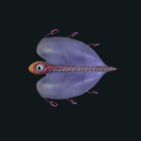 Bladderfish MBTI 성격 유형 image