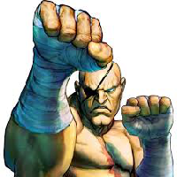 profile_Sagat