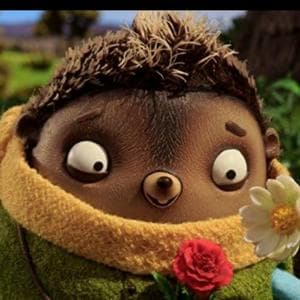 profile_Hedge