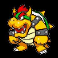 profile_Bowser