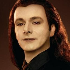 Aro tipo de personalidade mbti image