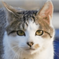 profile_Mu (haha ha)