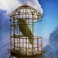 profile_Eleutherophobia