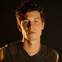 Shawn Mendes MBTI Personality Type image