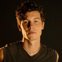 Shawn Mendes type de personnalité MBTI image